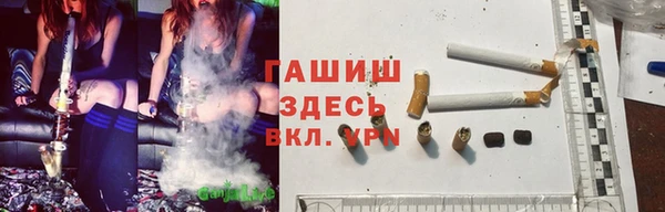 твердый Аркадак