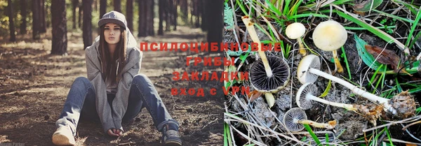 марихуана Сосновоборск