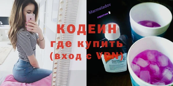 ПСИЛОЦИБИНОВЫЕ ГРИБЫ Сосновый Бор